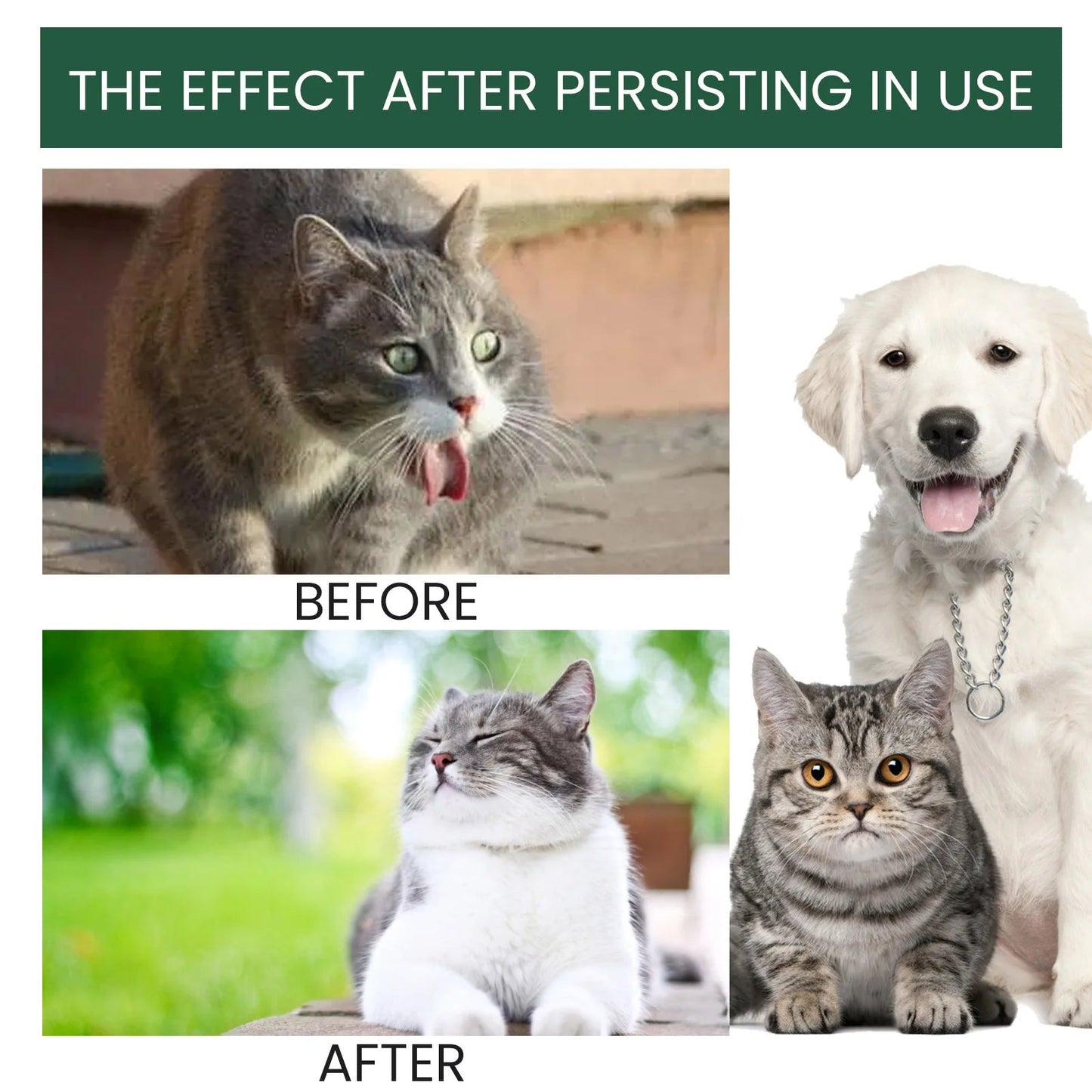 Pet Health Supplements Multi Vitamin Enhance Physical Fitness Protect Dogs Cats Stomach Oral Care Bad Breath Removal Pet Drops Happy Tails Pet Shop Store