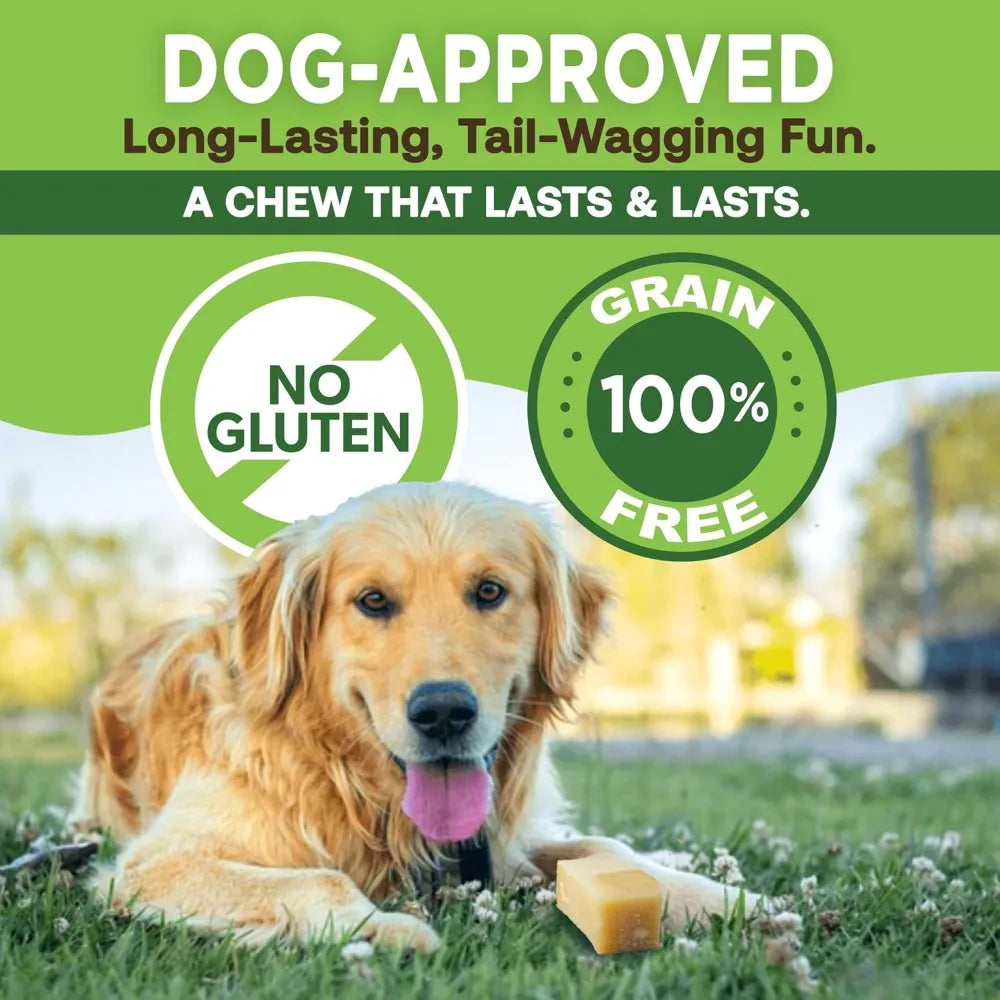 Giant Yak Cheese Dog Chews, 3 lbs - Natural, High Protein Treats for Aggressive Chewers