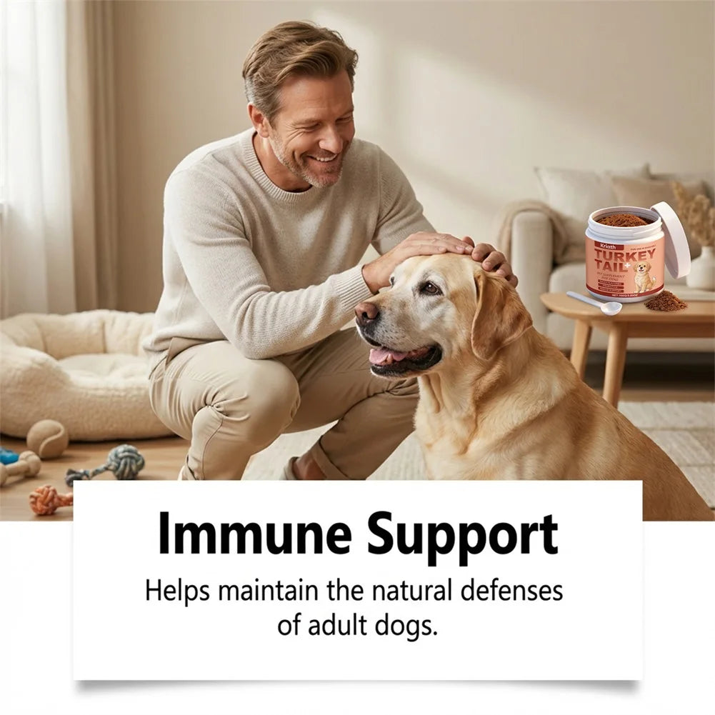 Dog Daily Supplement For Senior Dogs Joint And Coat Daily Comprehensive Care For Your Dog. Cozy Comfort