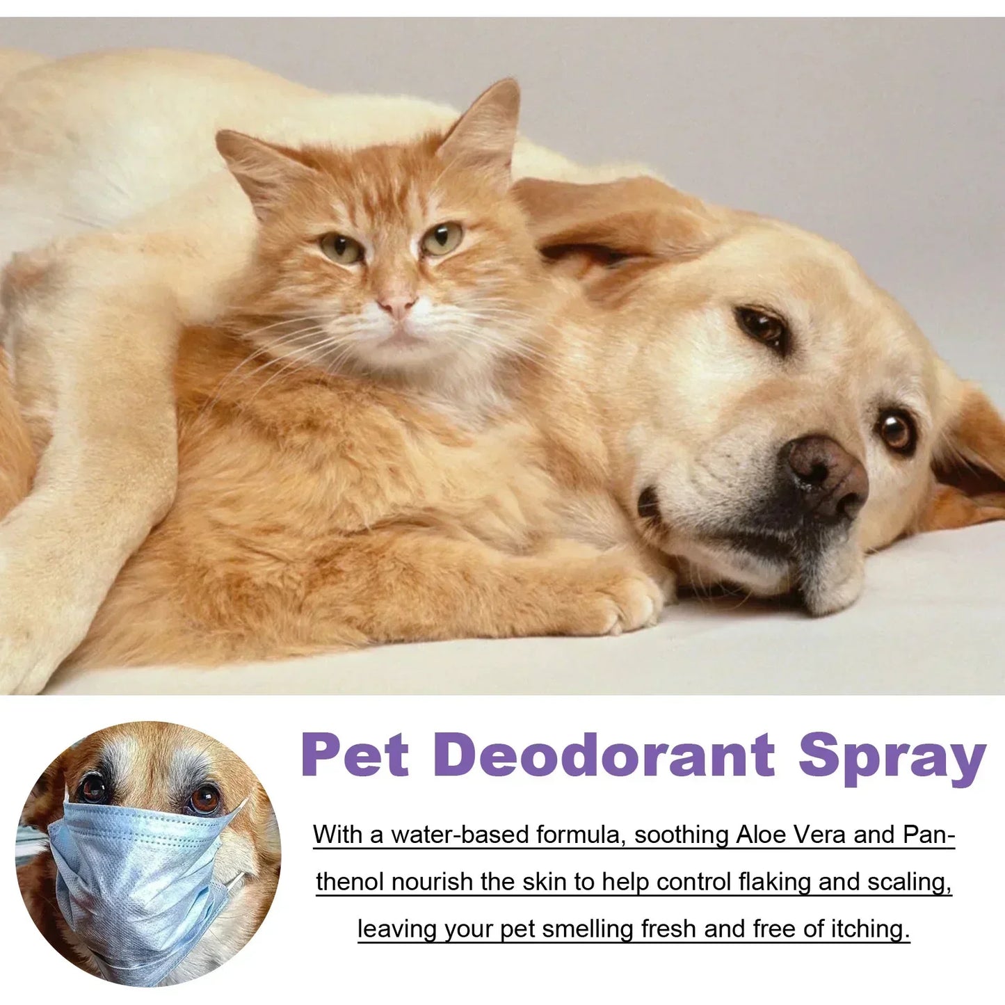 Spray désodorisant pour animaux 50 ml, parfum pour chien à l'huile essentielle de lavande, anti-démangeaisons, soin de beauté pour chats et chiens