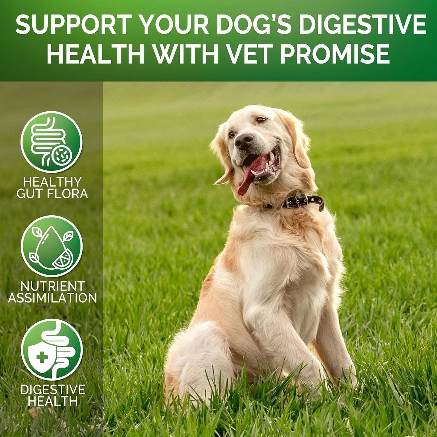 【120 Chews】Probiotics for Dogs- - Relieve stomach sensitivity and dog gut health probiotics - Digestive Remedies Happy Tails Pet Shop Store