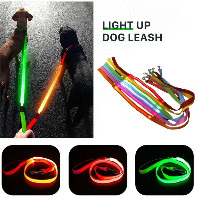 Corda de coleira de cachorro de estimação com luz Luminous Lead Leash Carregamento USB para segurança do cão Acessórios de coleira de arnês brilhantes piscantes