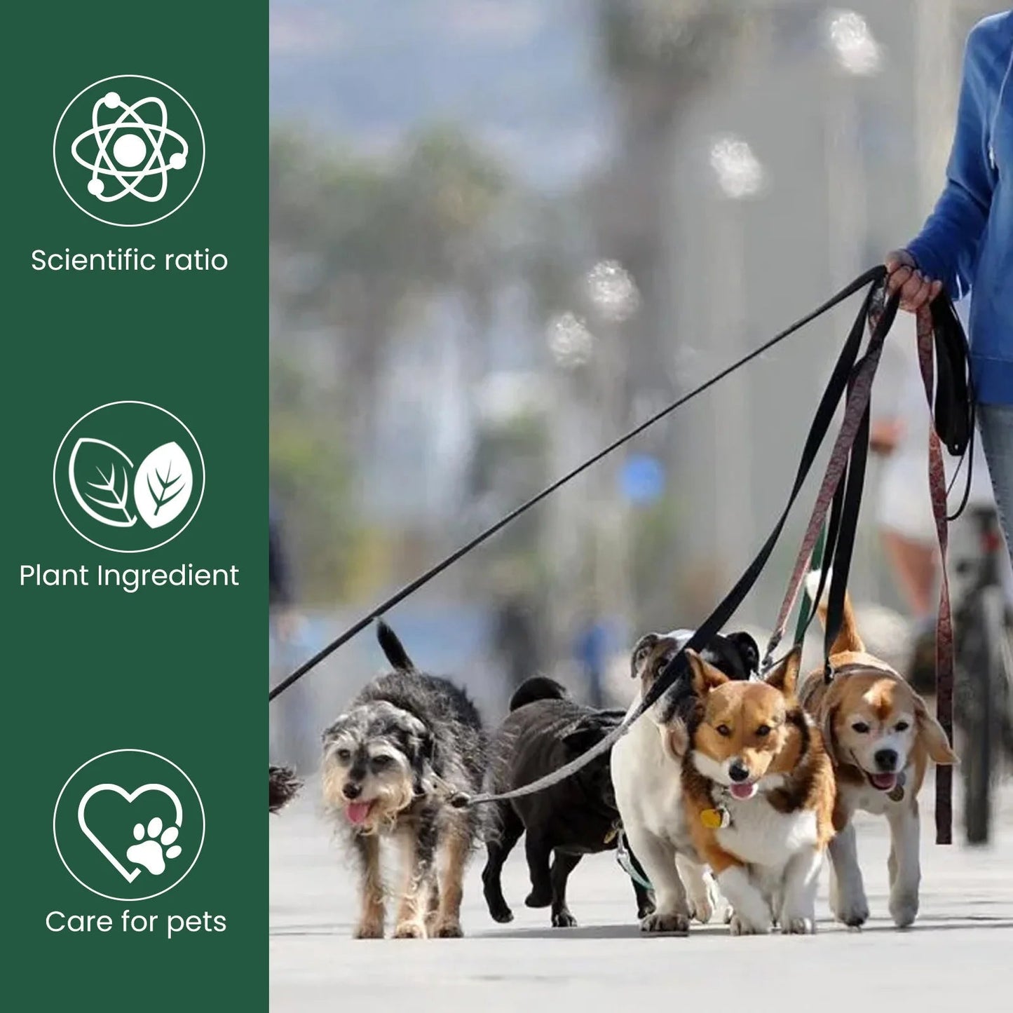 Pet Health Supplements Multi Vitamin Enhance Physical Fitness Protect Dogs Cats Stomach Oral Care Bad Breath Removal Pet Drops Happy Tails Pet Shop Store