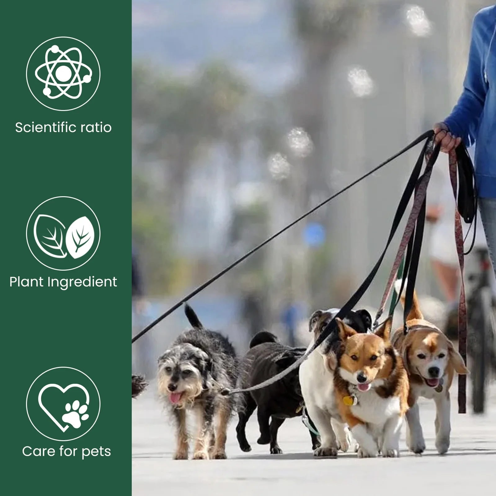 Pet Health Supplements Multi Vitamin Enhance Physical Fitness Protect Dogs Cats Stomach Oral Care Bad Breath Removal Pet Drops Happy Tails Pet Shop Store