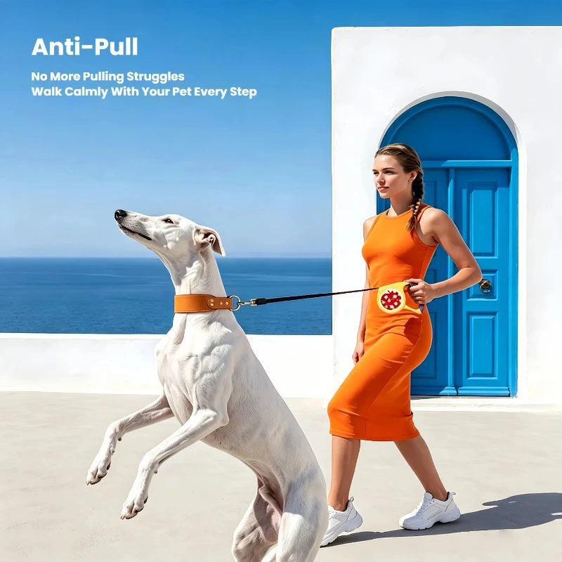 Cartoon Retractable Dog Leash Anti-burst Pull Anti-tangle Anti-escape Portable Outdoor Pet Walking Rope