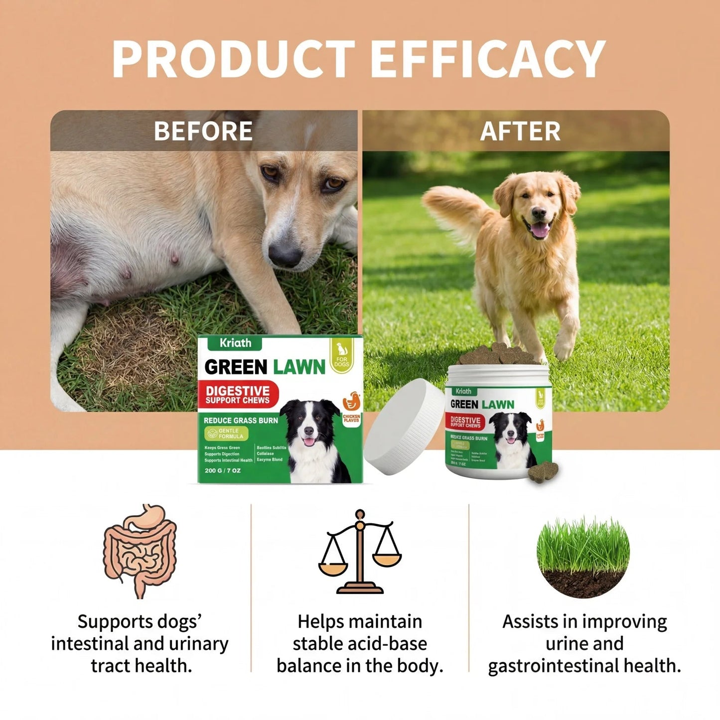 Natural Dog Digestive Support Probiotic Chews Chicken Flavored Supplement for Constipation Relief Puppy Stomach Care 200g Happy Tails Pet Shop Store