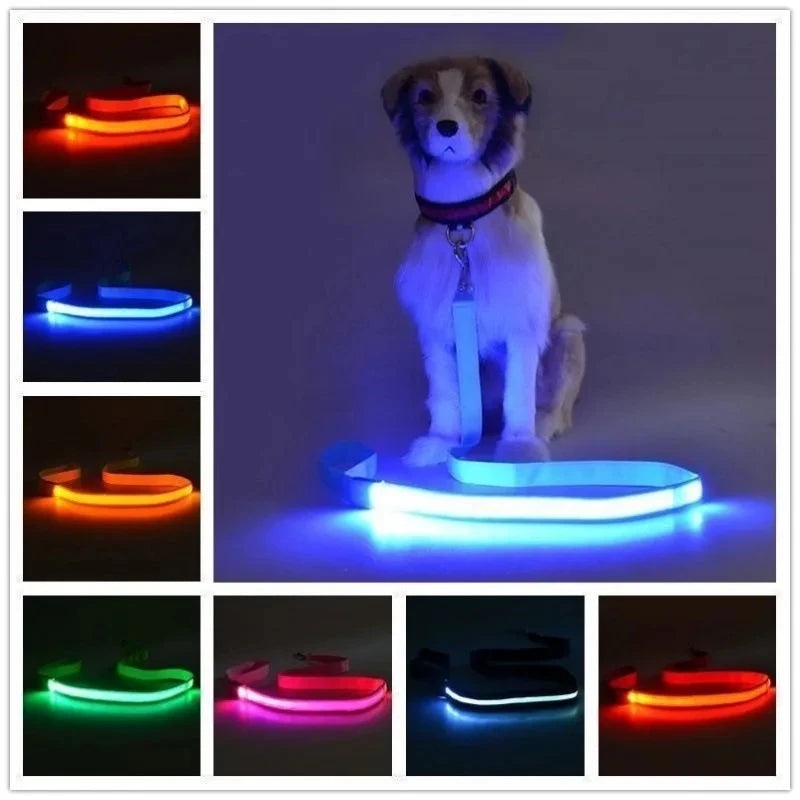 Corda de coleira de cachorro de estimação com luz Luminous Lead Leash Carregamento USB para segurança do cão Acessórios de coleira de arnês brilhantes piscantes
