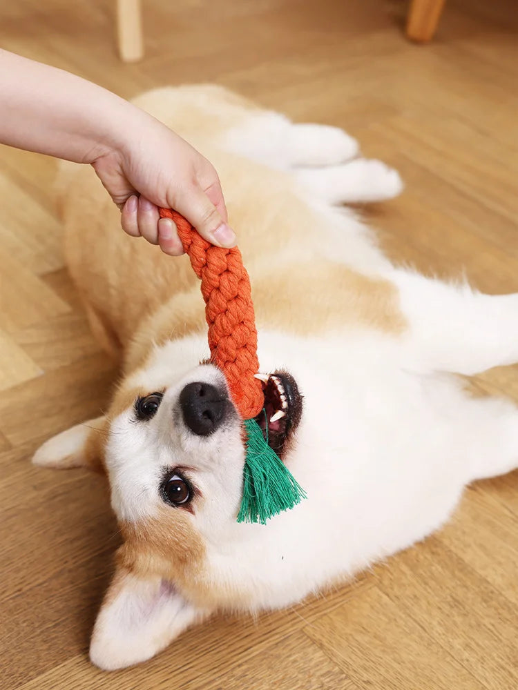 1 pieza de juguete anudado para mascotas para perros y gatos con forma de zanahoria, juguetes masticables para perros, juguetes de cuerda de algodón para perros de interior, juguetes para gatos, accesorios para perros