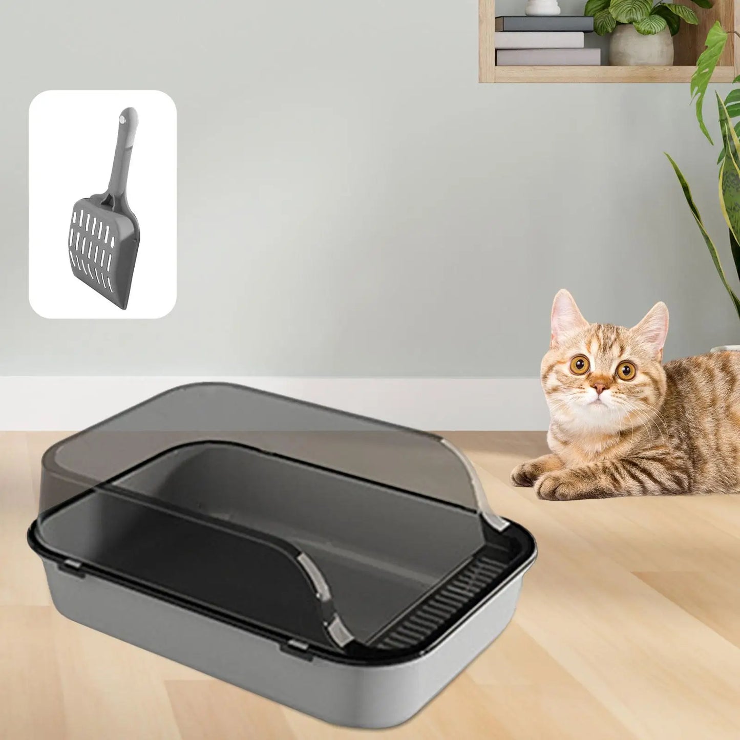 Open Top Cat Litter Box Durable Semi Closed Removable Pet Litter Tray Kitten Toilet Cat Sandbox for Small Medium Cats Small Pets