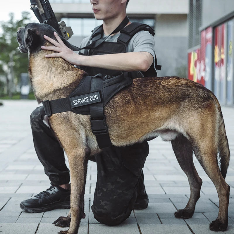 Harnais tactique pour chien avec poignée, gilet de randonnée et d'entraînement, accessoires pour chiens de taille moyenne à grande, harnais de sécurité et confortable. 