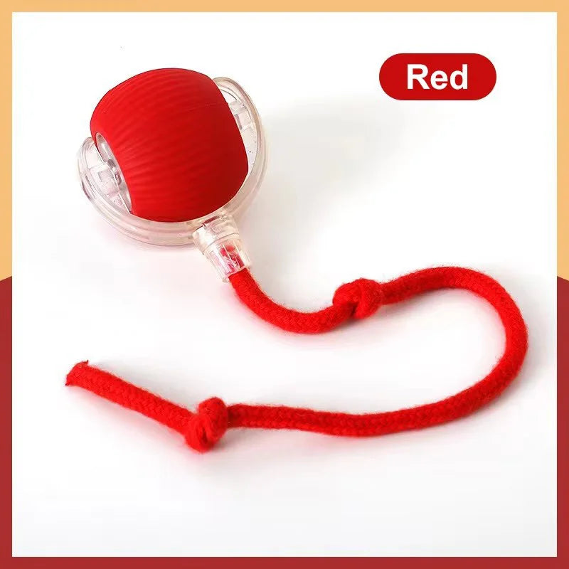 Hot Electric Dog Ball Toys Automatic Rolling Ball Rechargeable Smart Pet Interactive Plush Toy Dog Cat Training Imitate Mouse Happy Tails Pet Shop Store