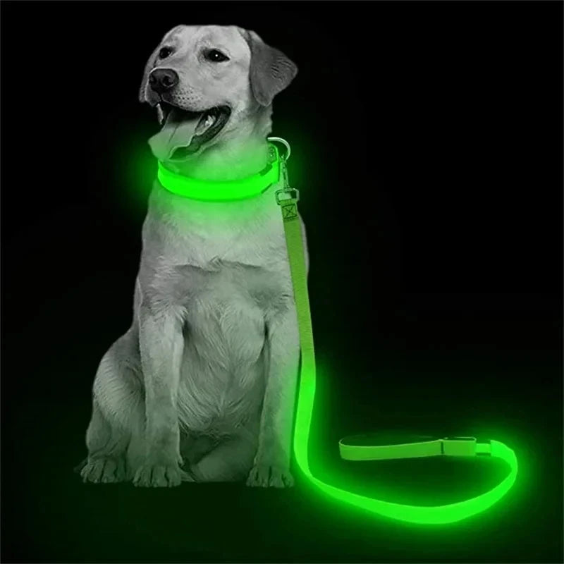 Corda de coleira de cachorro de estimação com luz Luminous Lead Leash Carregamento USB para segurança do cão Acessórios de coleira de arnês brilhantes piscantes