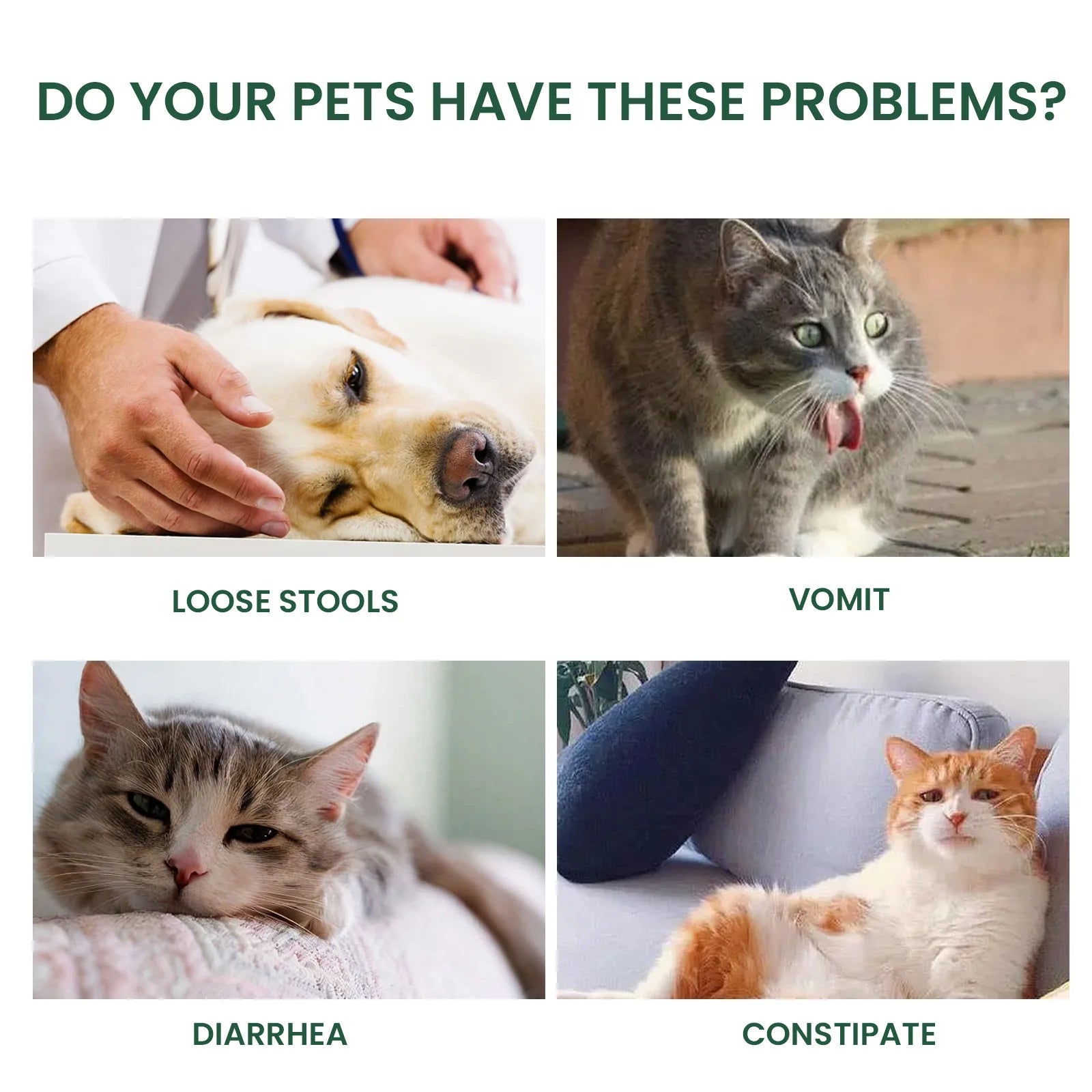 Pet Health Supplements Multi Vitamin Enhance Physical Fitness Protect Dogs Cats Stomach Oral Care Bad Breath Removal Pet Drops Happy Tails Pet Shop Store