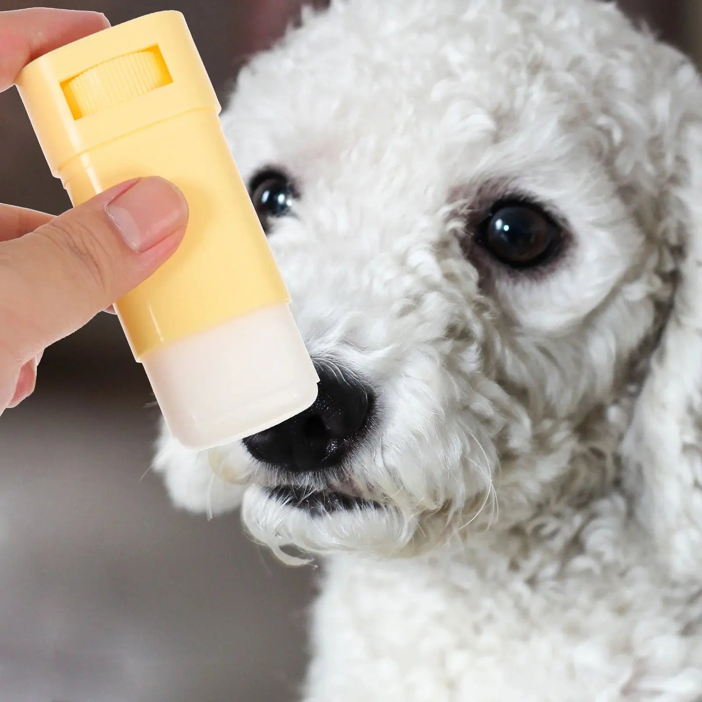 Paw Balm Moisturizer for Dog Paws Foot Care Cream Protector Pet Supplies Cat Health Products Winter Care Anti Cracked Safe Non Happy Tails Pet Shop Store