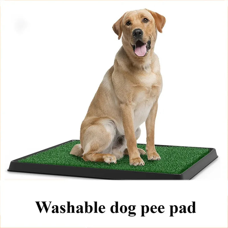 Tapis de toilette imperméable pour animaux de compagnie, utilisable en intérieur comme en extérieur. Remplace l'urine. Lavable et imperméable. Accessoires pour animaux de compagnie. 