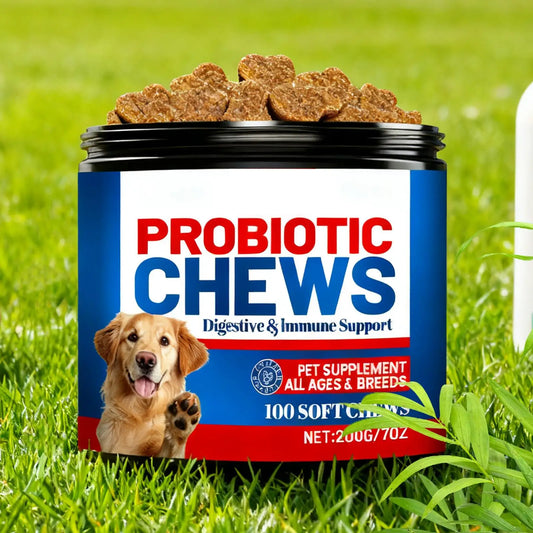 Dog Gut Health Supplement 200g Healthy Treats Natural Skin Care Dogs Digestive Health Soft Chews For After Meal Seasonal Changes