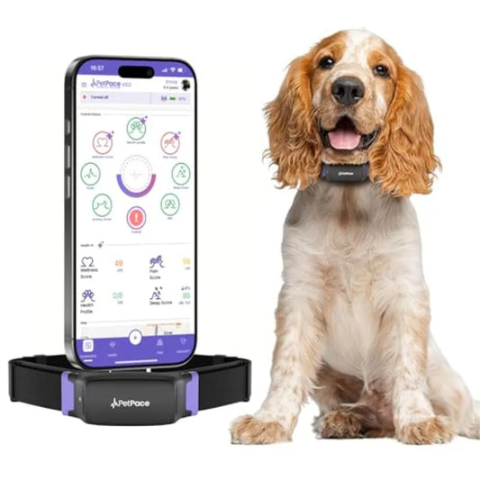 Collar de salud con IA para perros con monitoreo 24/7 de signos vitales, alertas de dolor y convulsiones, rastreo GPS, consultas de telemedicina y aplicación para compartir con el veterinario