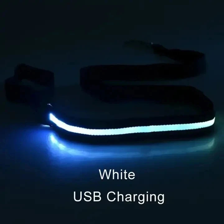 Corda de coleira de cachorro de estimação com luz Luminous Lead Leash Carregamento USB para segurança do cão Acessórios de coleira de arnês brilhantes piscantes