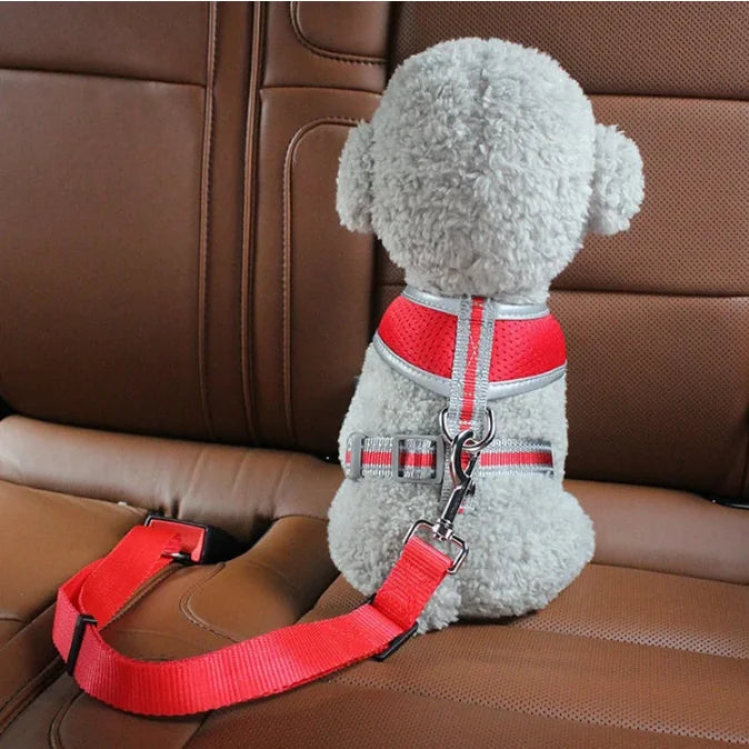 Cinto de Segurança para Carro para Gatos Acessórios para Cães Coleira Ajustável Cinto de Segurança para Viagem Clipe Pequeno Médio Coleira para Filhotes Itens para Animais de Estimação Coleira para Cães