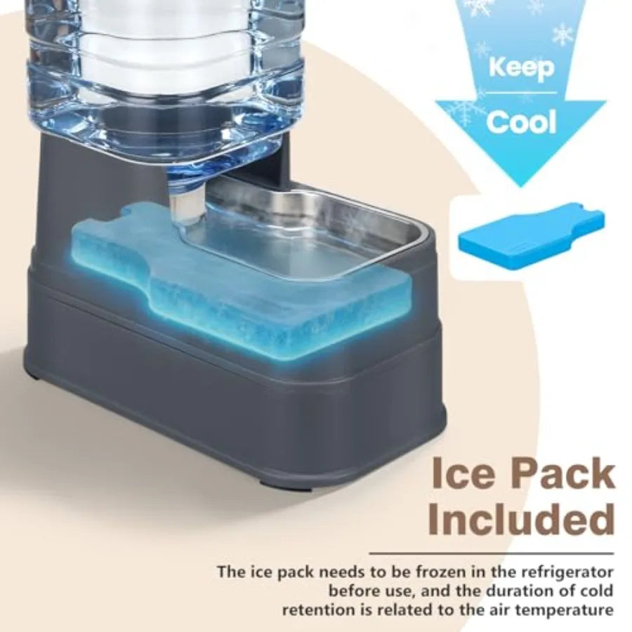 Distributeur d'eau automatique pour animaux de compagnie (1, 6 gallon) avec bol en acier inoxydable et gamelle à gravité en acier inoxydable de grande capacité pour chiots. 