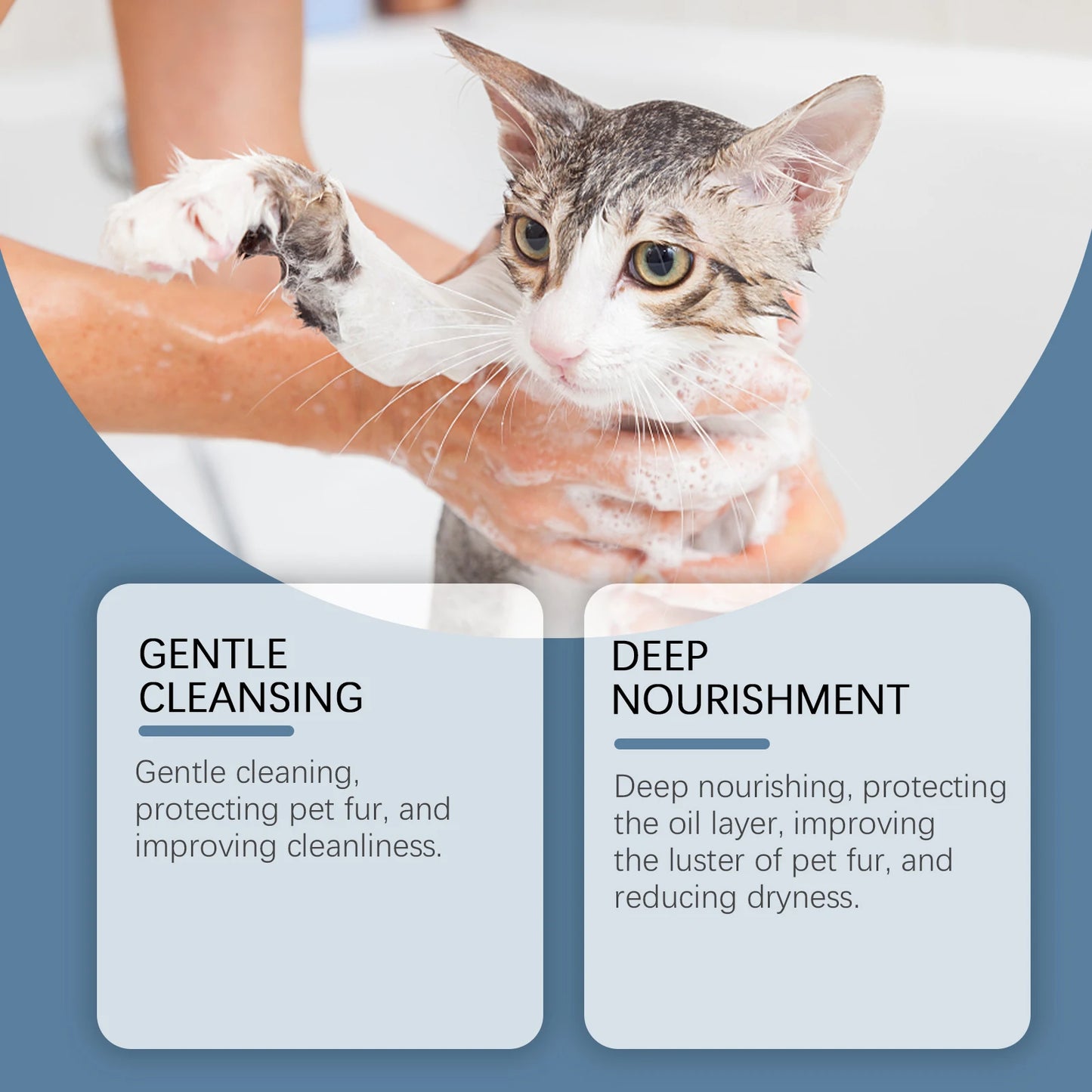 Shampoing doux pour chats et chiens, nettoyant, bain, hydratant, nourrissant, gel douche. 