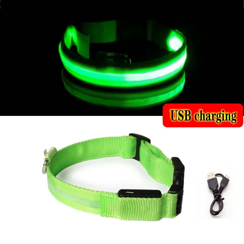 Coleira Luminosa LED Anti-perda para Cães Filhotes Coleira Noturna Luminosa Acessórios para Produtos para Animais de Estimação Carregamento USB/Bateria