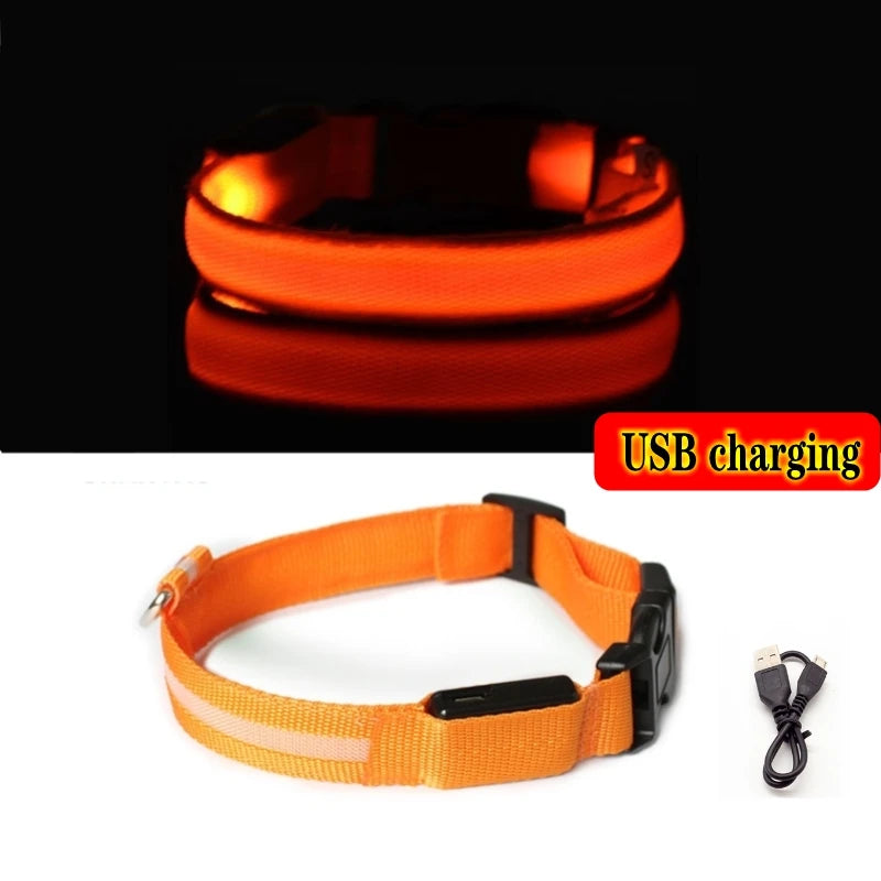 Coleira Luminosa LED Anti-perda para Cães Filhotes Coleira Noturna Luminosa Acessórios para Produtos para Animais de Estimação Carregamento USB/Bateria