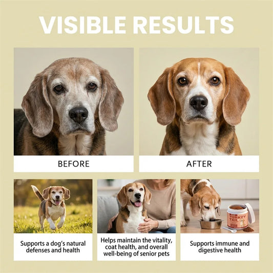 Dog Daily Supplement For Senior Dogs Joint And Coat Daily Comprehensive Care For Your Dog. Cozy Comfort