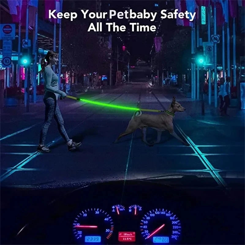 Corda de coleira de cachorro de estimação com luz Luminous Lead Leash Carregamento USB para segurança do cão Acessórios de coleira de arnês brilhantes piscantes