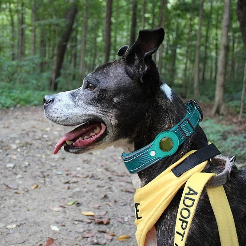 Coleira Impermeável Anti-Perda para Cães, Coleira Acolchoada com Suporte para AirTag, Capa Protetora para Rastreador GPS, Coleira Ajustável para Cães Grandes