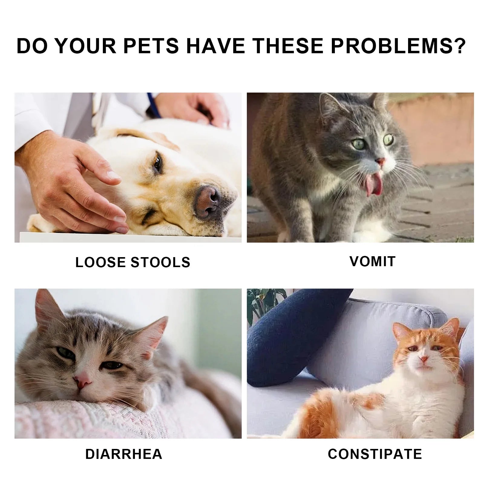 Yegbong Pet Health Drops Cats Dogs Balanced Nutrition Enhance Puppy Kitten Disease Immunity Multi Vitamin Pet Health Supplements Happy Tails Pet Shop Store
