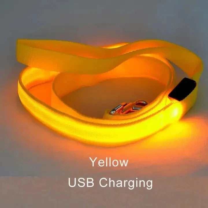 Corda de coleira de cachorro de estimação com luz Luminous Lead Leash Carregamento USB para segurança do cão Acessórios de coleira de arnês brilhantes piscantes