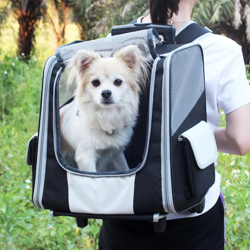 Mochila de Viagem para Cães com Rodas, Carrinho de Cachorro Impermeável, Mochila Transportadora de Animais de Estimação, Mochila de Viagem com Malha para Filhotes e Gatos