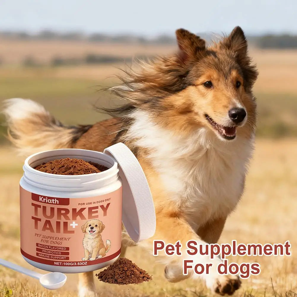 Dog Immune Support Supplement Turkey Tail Mushroom Powder With Probiotics Bacon Flavor For Gut Health And Defense System 3.53oz Happy Tails Pet Shop Store