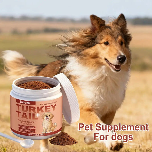 Dog Immune Support Supplement Turkey Tail Mushroom Powder With Probiotics Bacon Flavor For Gut Health And Defense System 3.53oz Happy Tails Pet Shop Store