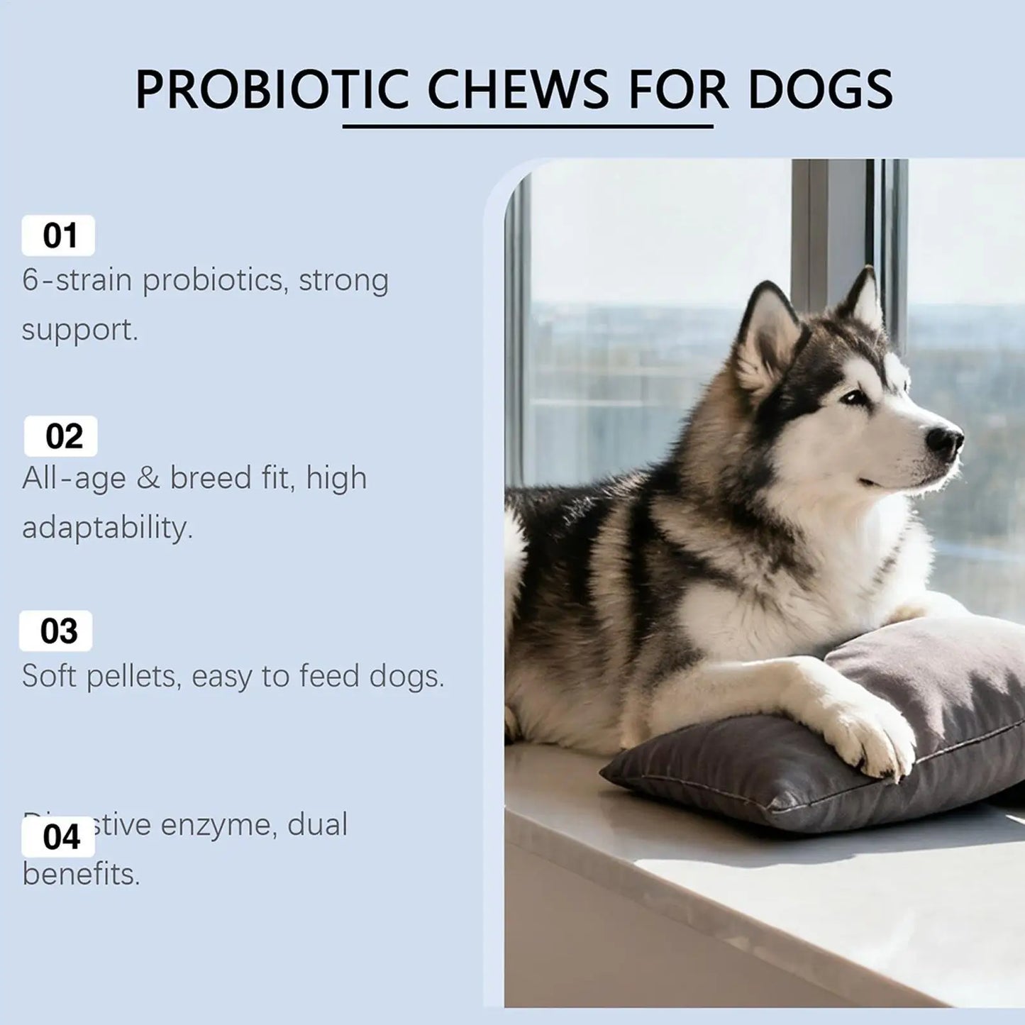 Dog Gut Health Supplement Healthy Natural Treats 200g Digestive Care Dog Supplements For After Meal Seasonal Changes Food