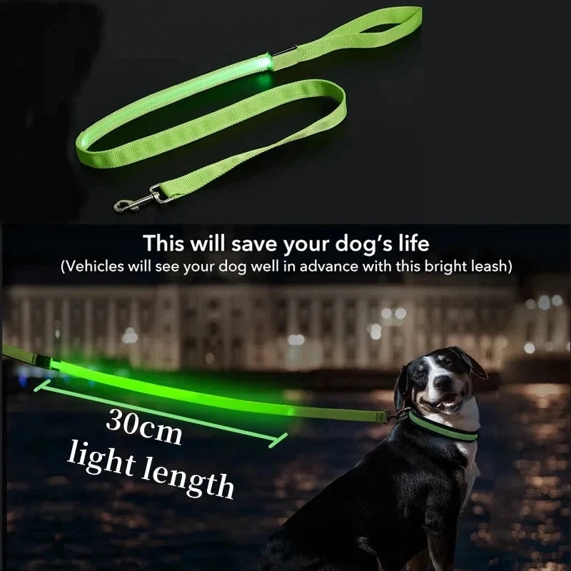 Corda de coleira de cachorro de estimação com luz Luminous Lead Leash Carregamento USB para segurança do cão Acessórios de coleira de arnês brilhantes piscantes