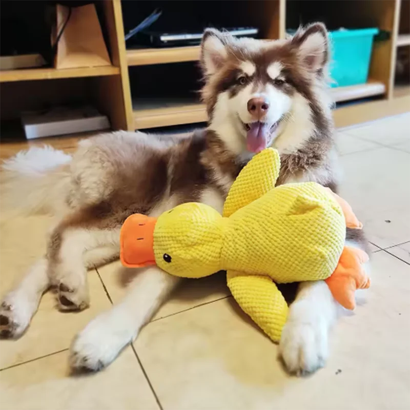 Perro durmiendo con pato de juguete para perros para aliviar el aburrimiento, pequeño pato amarillo, muñeco de peluche interactivo para mascotas, suministros para mascotas.