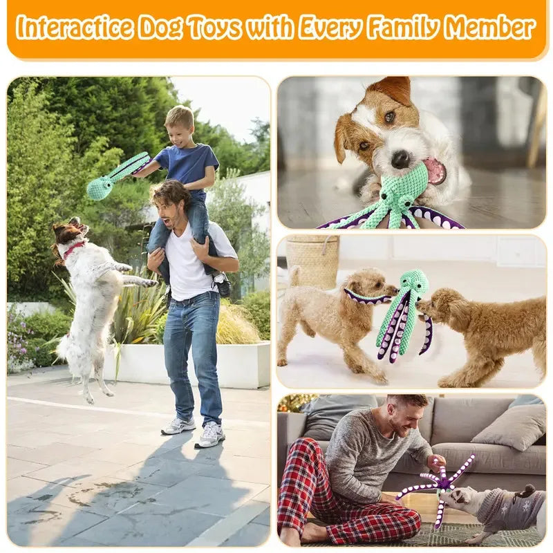 Peluche pour animaux de compagnie (chat/chien) , jouet puzzle interactif en forme de coquillage de pieuvre, résistant aux morsures, pour le nettoyage des dents du chien, accessoires pour animaux. 