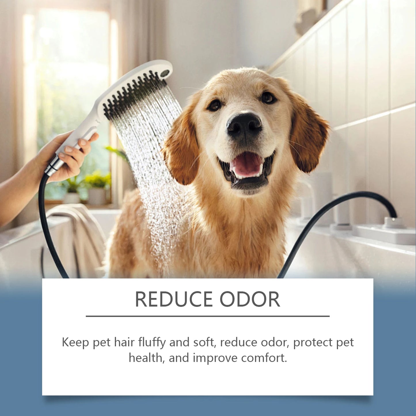 Shampoing doux pour chats et chiens, nettoyant, bain, hydratant, nourrissant, gel douche. 