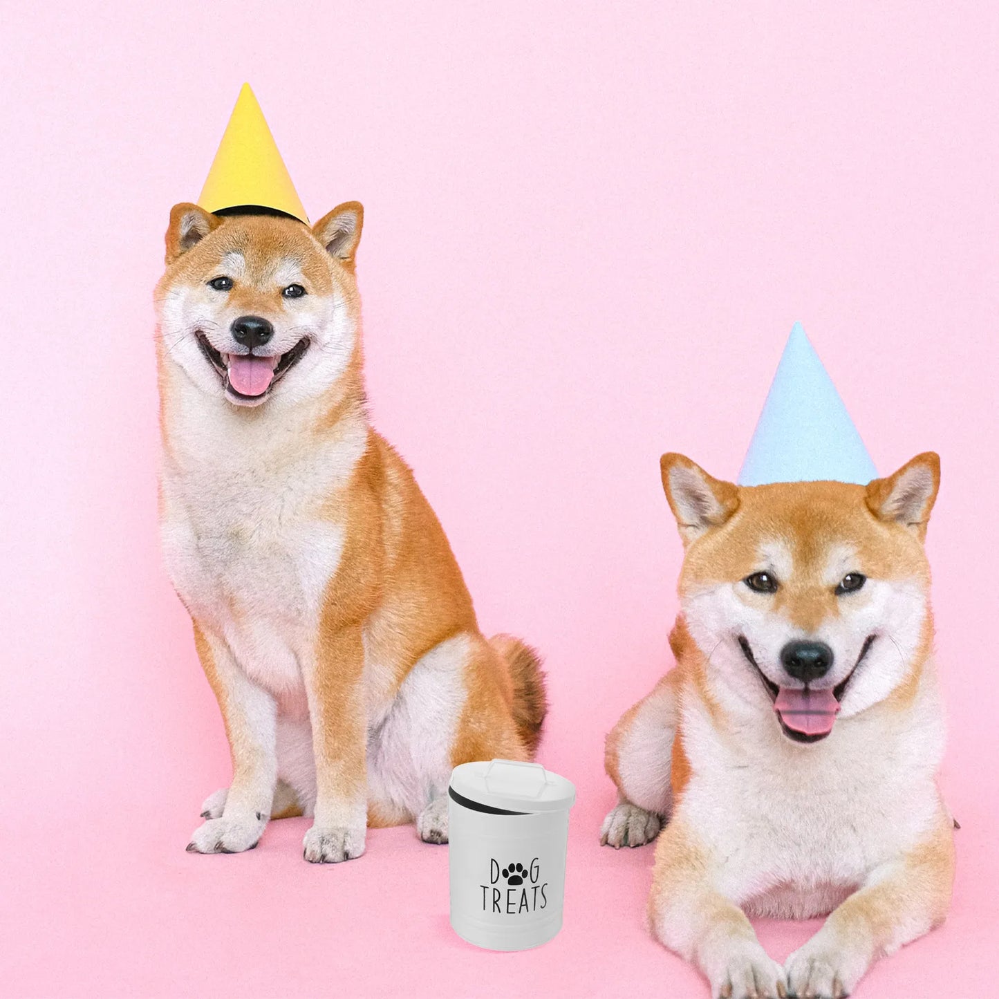 Cubo hermético de metal para pienso de perro, contenedor de comida para cachorros, bote para golosinas de perro para encimera de cocina, organizador de aperitivos