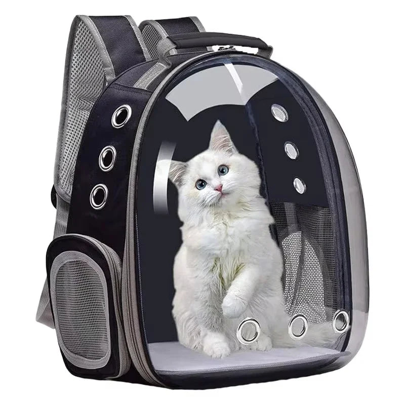 Sac à dos ventilé pour animaux de compagnie, homologué pour le transport aérien, idéal pour les petits et moyens chiens et chats, type capsule spatiale, randonnée