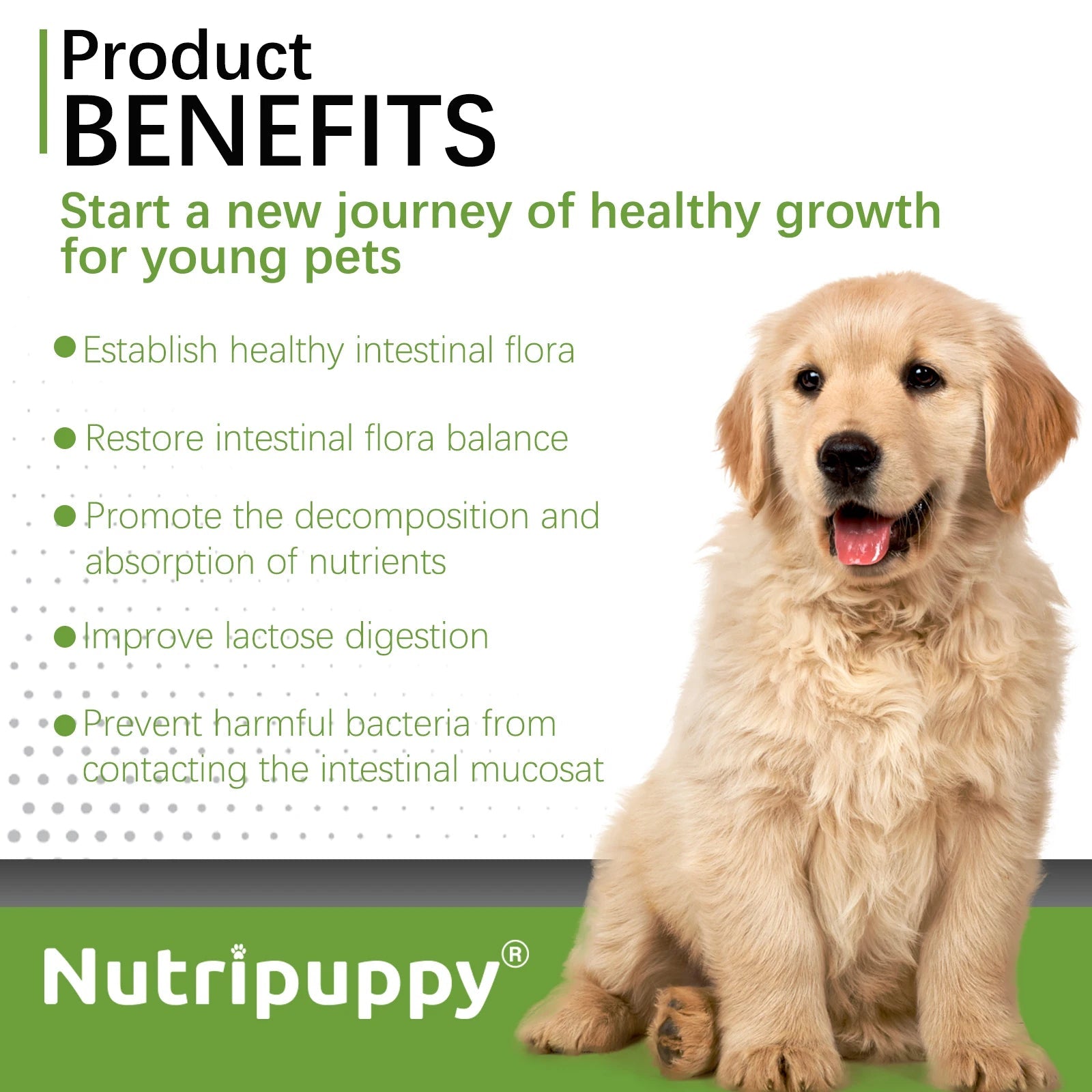 Dog Probiotic Powder Supplement - Supports Digestive Health&Relieves Diarrhea,Boosts Immune System for Puppy Adult Senior Dogs Happy Tails Pet Shop Store
