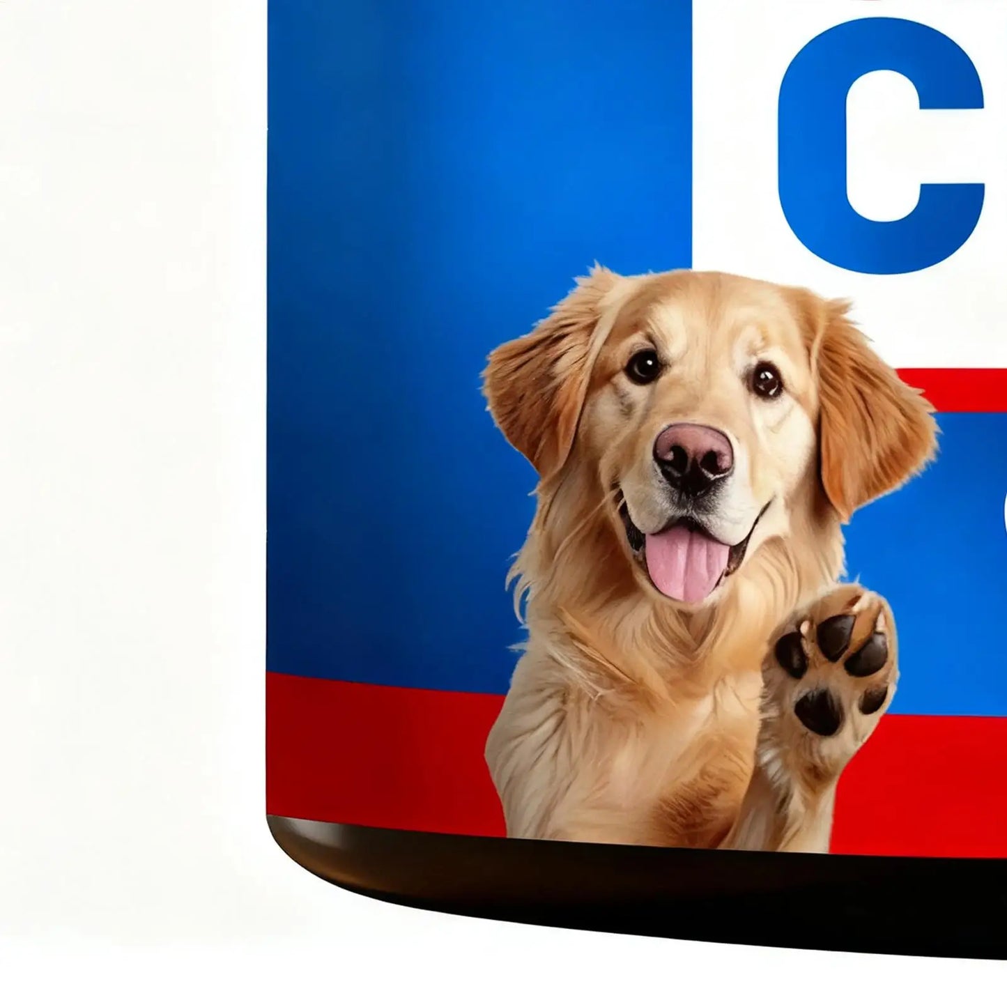 Dog Gut Health Supplement Healthy Natural Treats 200g Digestive Care Dog Supplements For After Meal Seasonal Changes Food