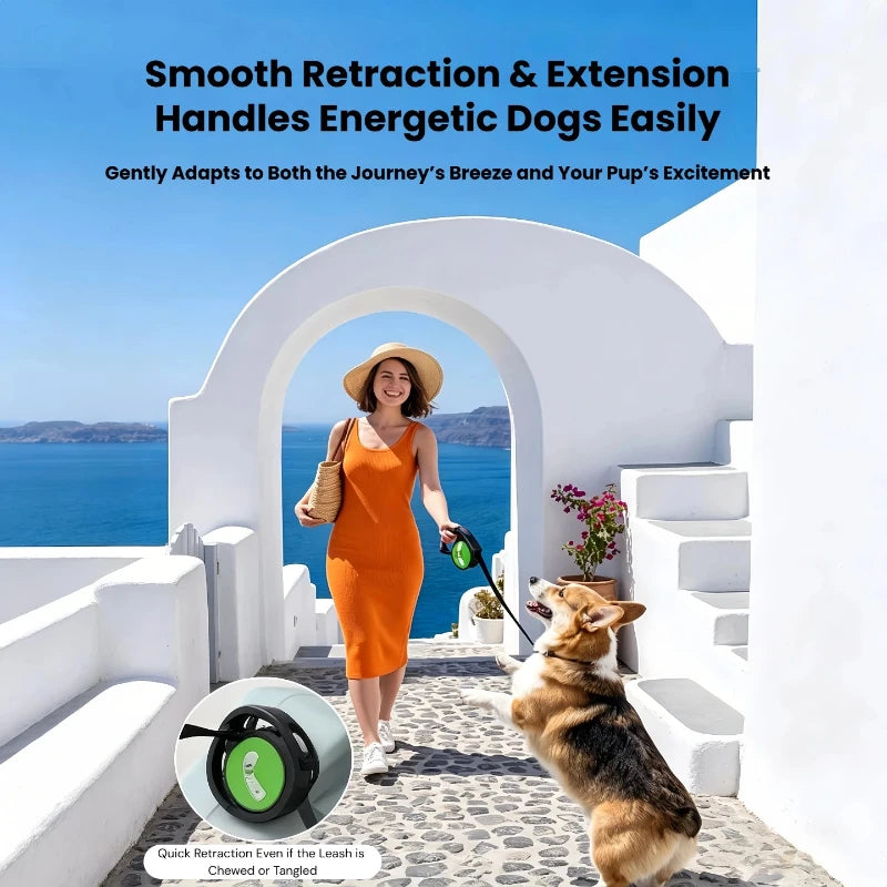Cartoon Retractable Dog Leash Anti-burst Pull Anti-tangle Anti-escape Portable Outdoor Pet Walking Rope