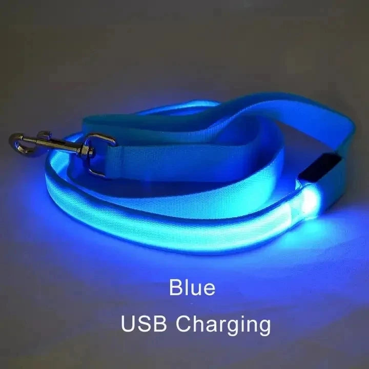 Corda de coleira de cachorro de estimação com luz Luminous Lead Leash Carregamento USB para segurança do cão Acessórios de coleira de arnês brilhantes piscantes