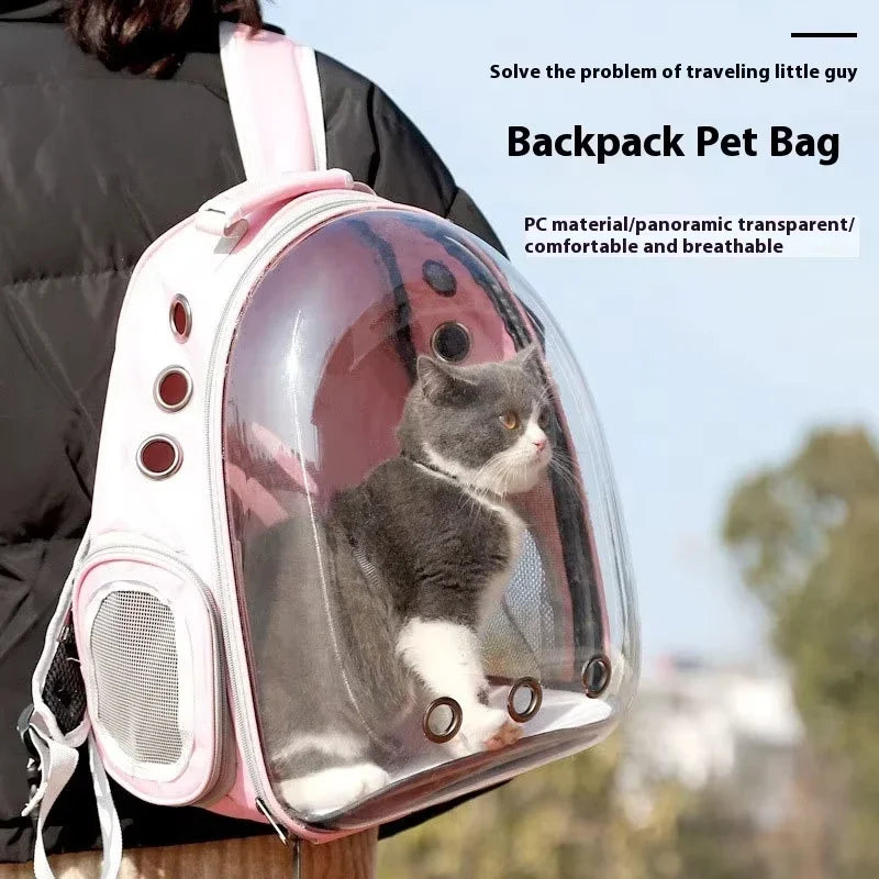 Sac à dos ventilé pour animaux de compagnie, homologué pour le transport aérien, idéal pour les petits et moyens chiens et chats, type capsule spatiale, randonnée