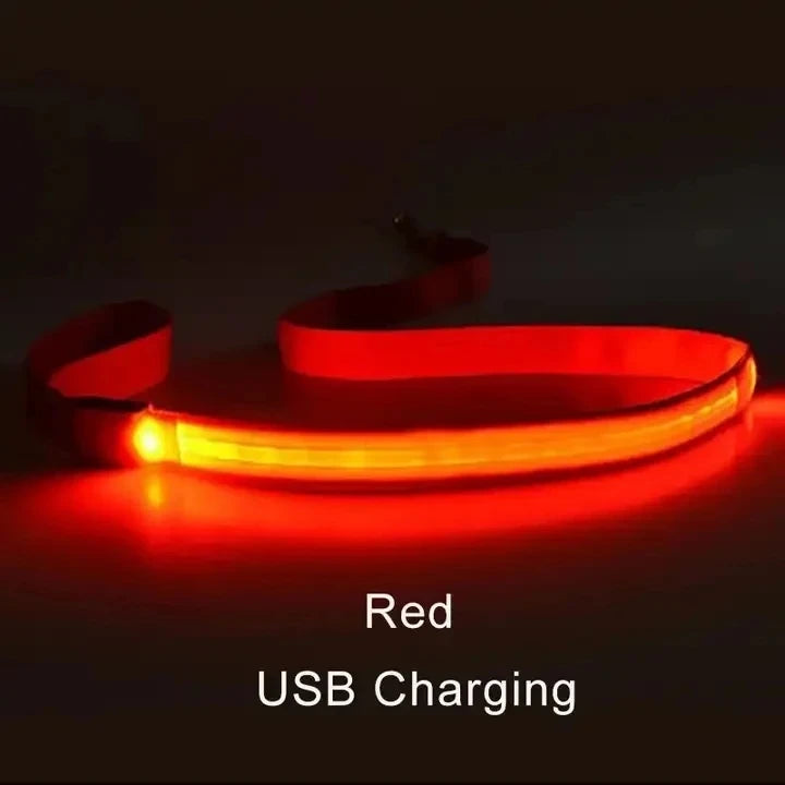 Corda de coleira de cachorro de estimação com luz Luminous Lead Leash Carregamento USB para segurança do cão Acessórios de coleira de arnês brilhantes piscantes