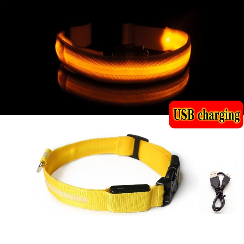 Coleira Luminosa LED Anti-perda para Cães Filhotes Coleira Noturna Luminosa Acessórios para Produtos para Animais de Estimação Carregamento USB/Bateria