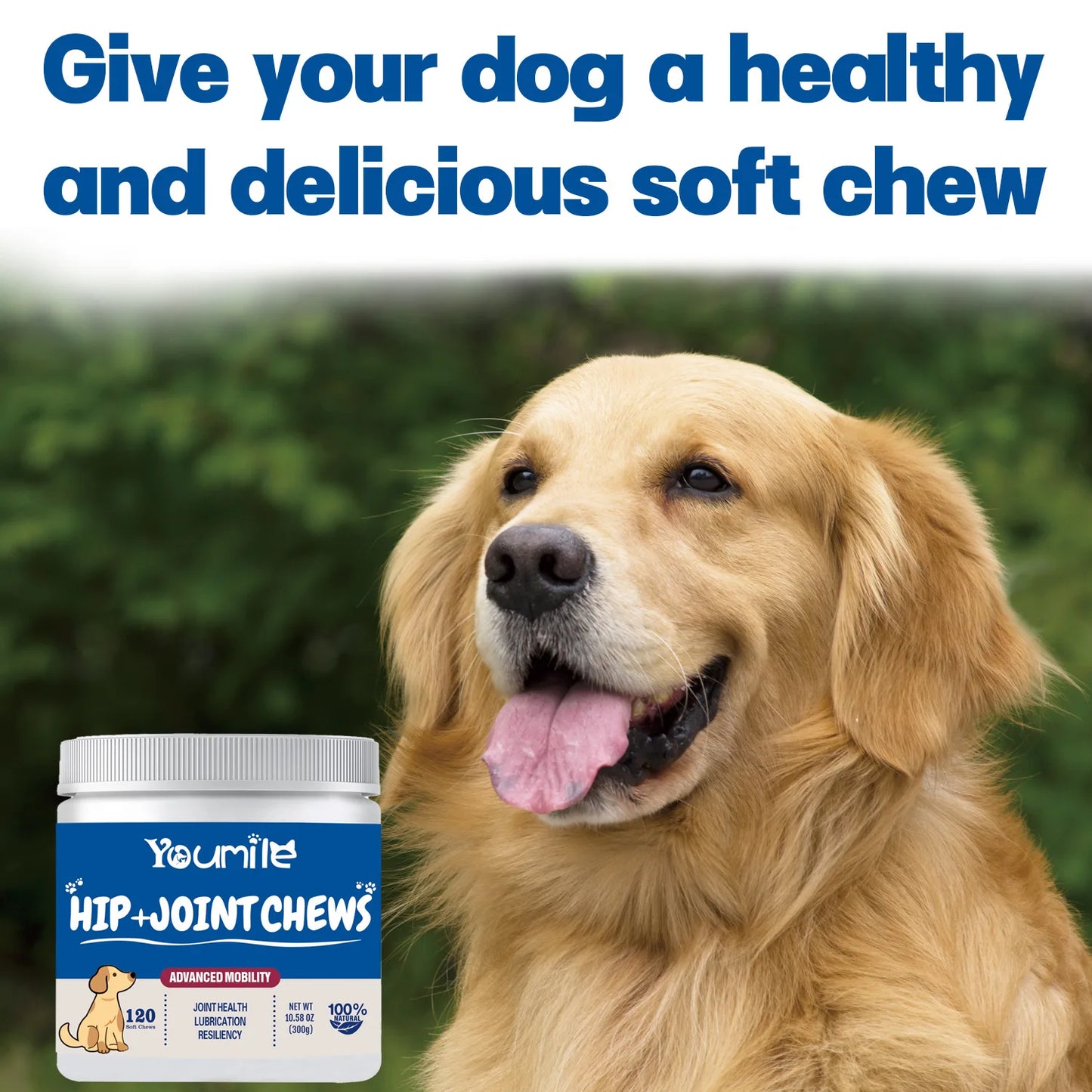 Complément articulaire pour chien Youmile à base d'acide hyaluronique-Comprimés de glucosamine et de chondroïtine pour soulager les douleurs arthritiques